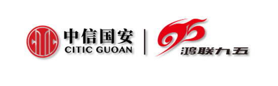 北京鸿联九五信息产业有限公司